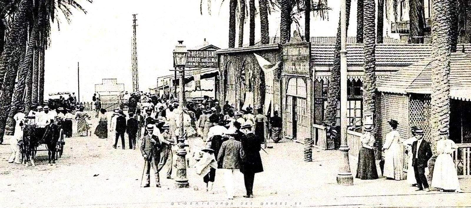 1947- Alger - Jardin d'essai - L'Oasis des Palmiers2.jpg